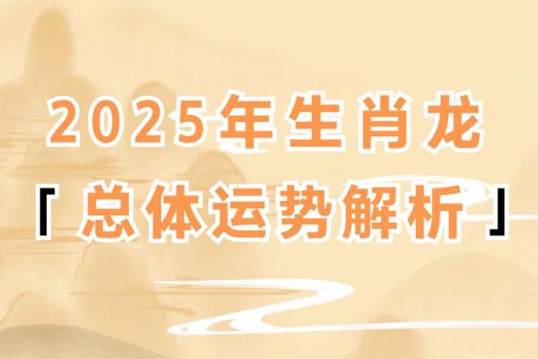 出生属龙男的财富运势与理财建议