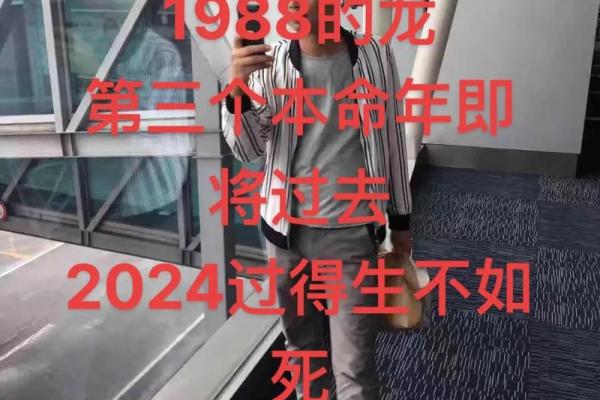 本命年龙男如何规划未来的人生道路