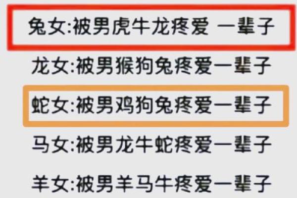 从生肖看女鼠男兔的爱情与婚姻前景