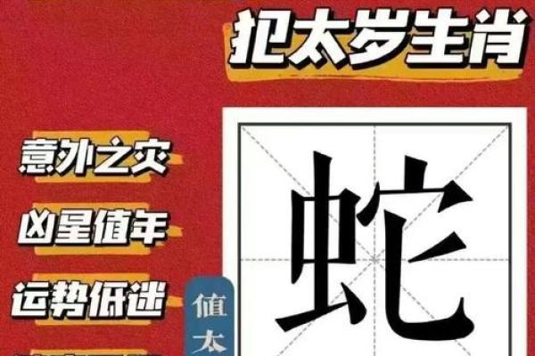 属蛇人本命年如何度过事业低谷