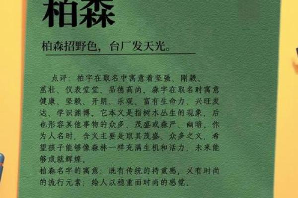 带森字的名字寓意与选择解析