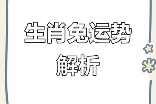 兔马相配带来的好运与象征意义
