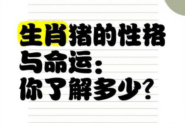 属猪人的好运与挑战：命运如何起伏