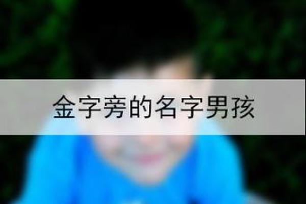 精选带金字的男孩名字，让名字更具力量感