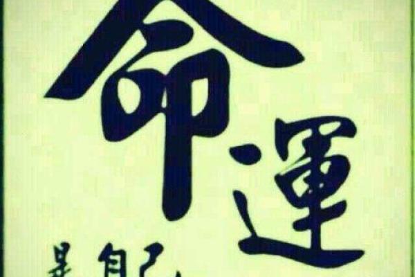 揭秘木子生辰八字，解读你的命运轨迹！