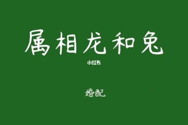 兔与龙相配吗？解析生肖配对的奥秘