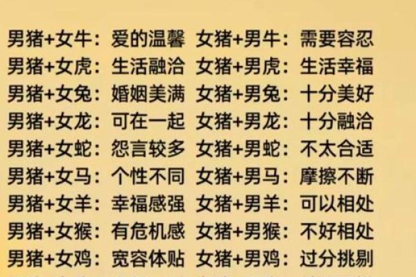 从生肖角度分析男猪女龙的婚配优势