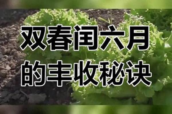 农历闰月对传统节日的影响，你了解吗？