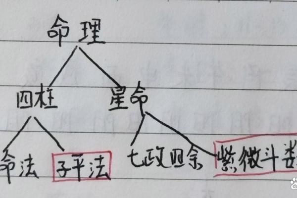 揭秘八字算命的秘密，带你进入命理大师之路