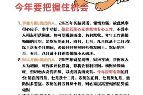 运用猛虎风水提升个人运势的方法