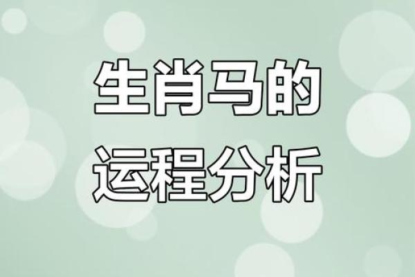 肖马运程详解，事业与感情运势全解析